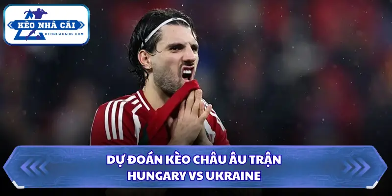 Soi kèo nhà cái Hungary vs Ukraine qua kèo châu Âu